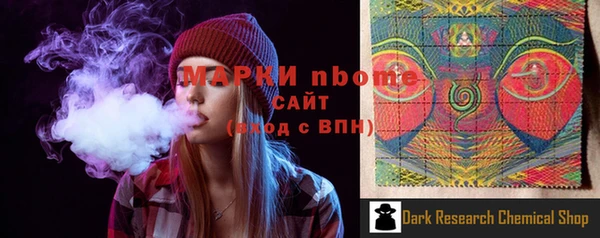 прущие грибы Новодвинск