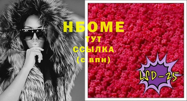 стаф Новозыбков